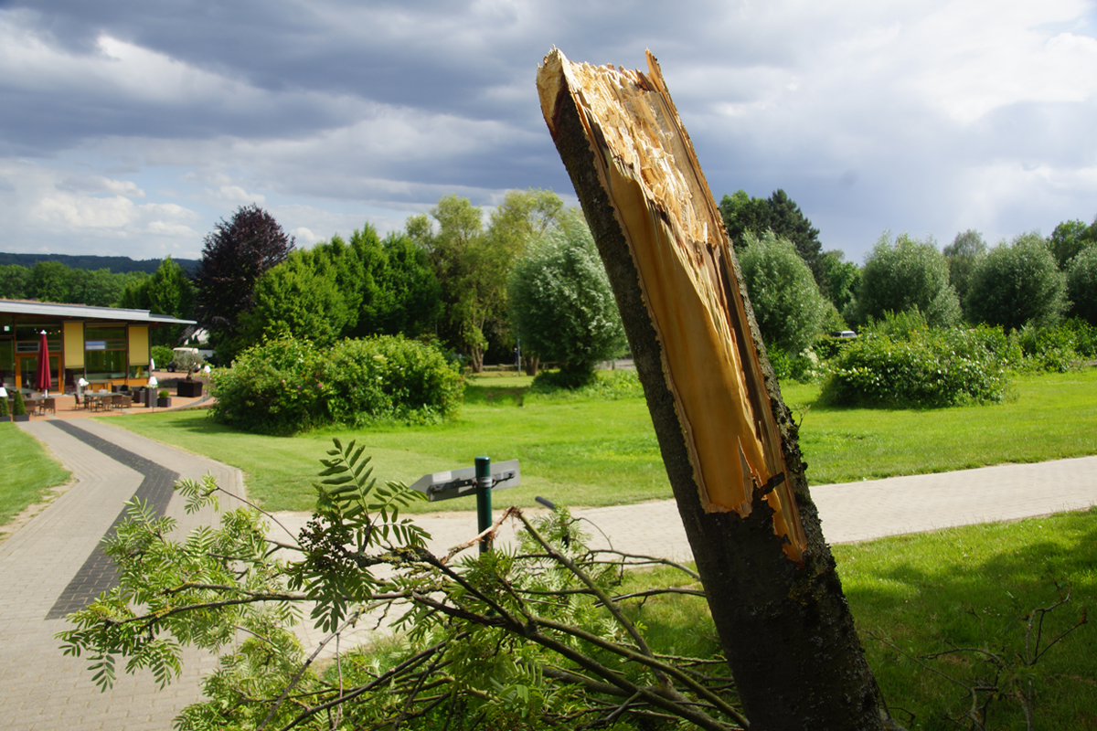 Ehepaarvierer 2019 Baum gebrochen