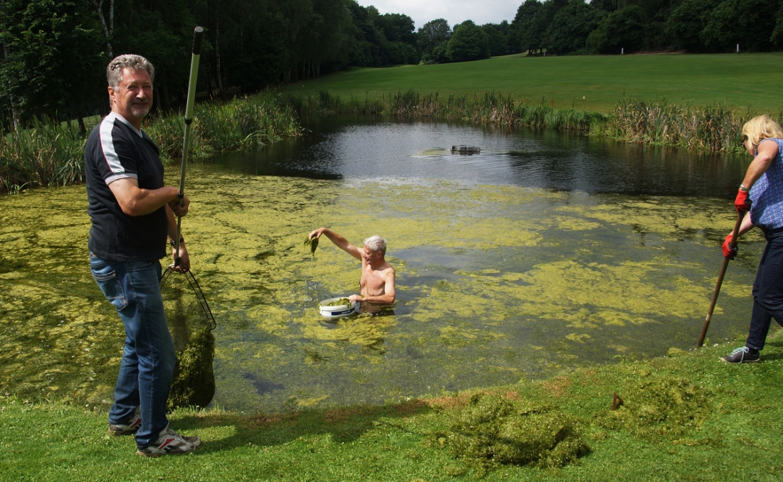 Alles tip top - Pflegetag im Bochumer GC